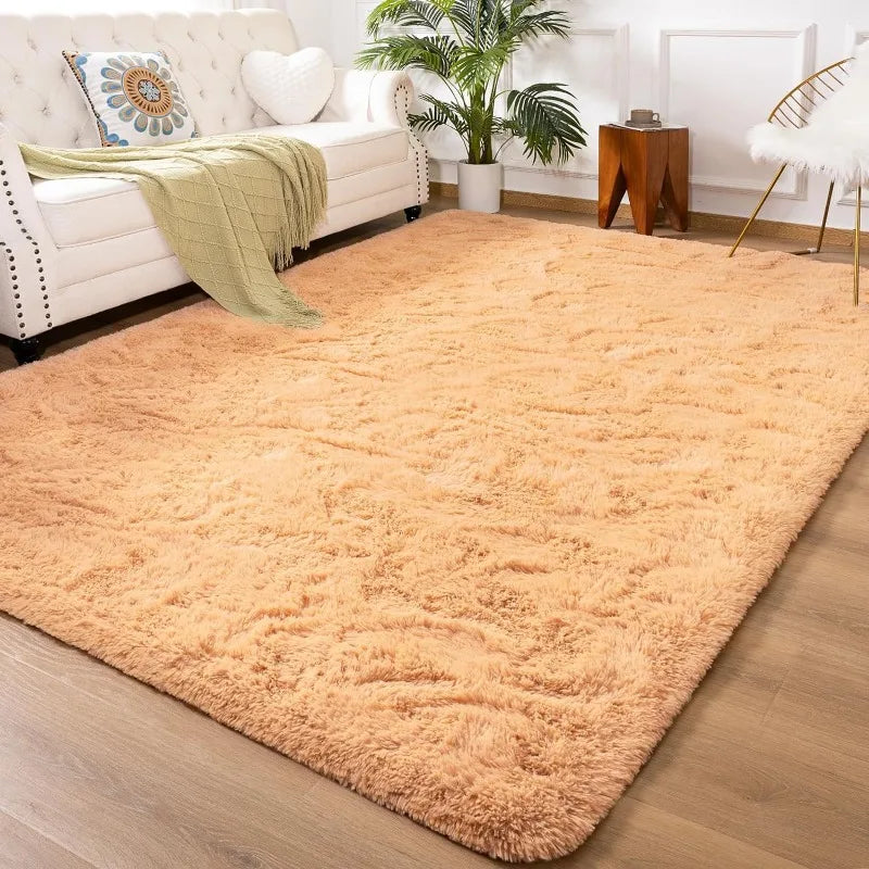 Indoor Soft Fluffy Bedroom Rug