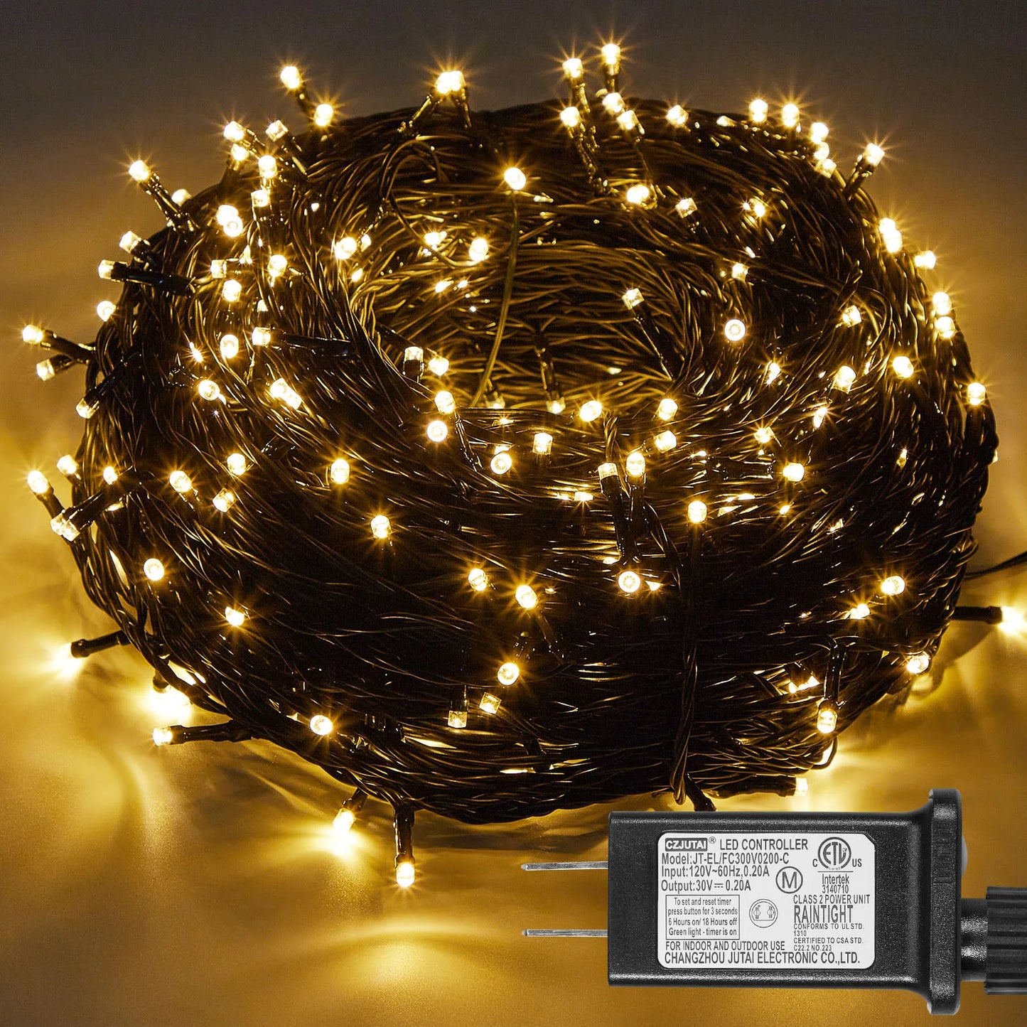 Outdoor Black Wire Fairy String Lights