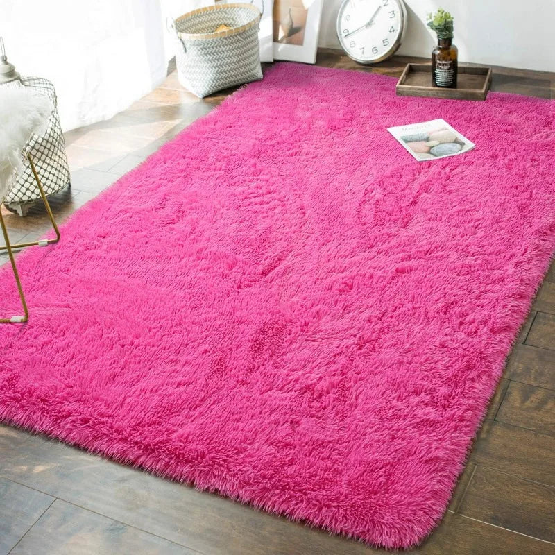 Indoor Soft Fluffy Bedroom Rug