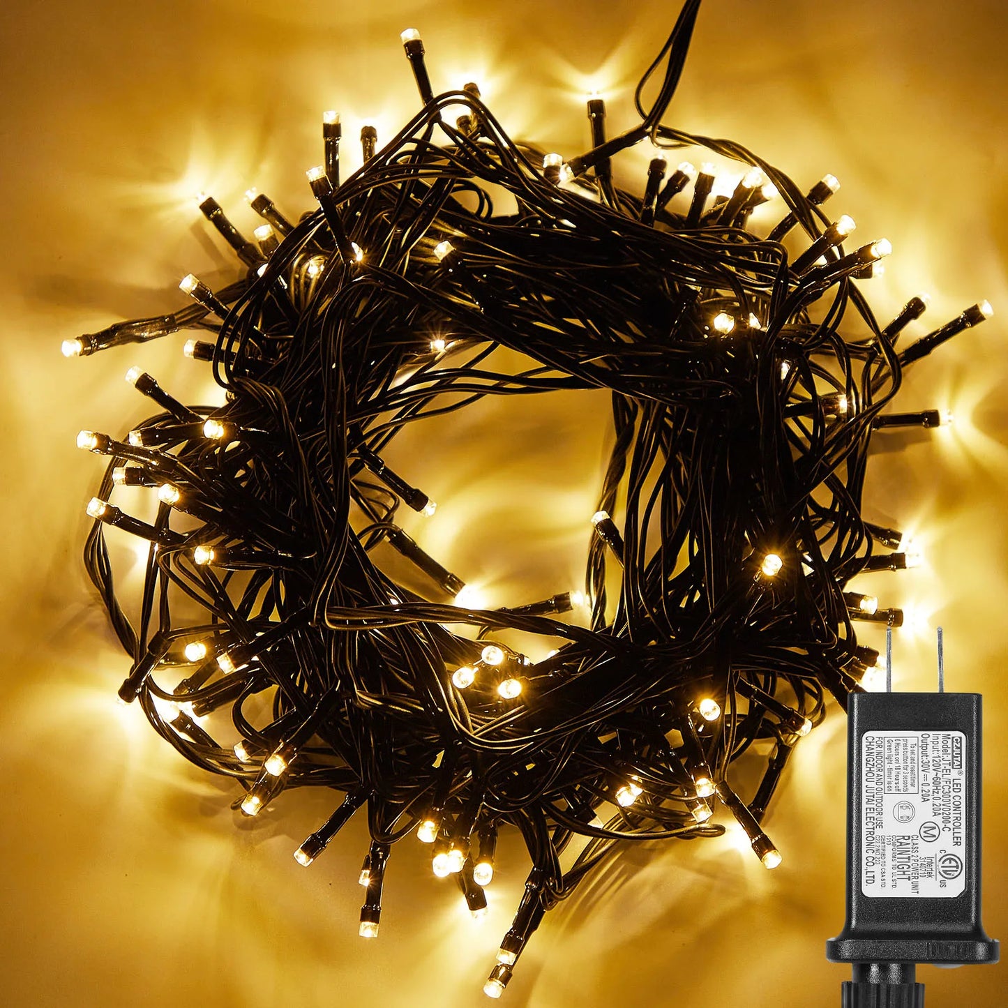 Outdoor Black Wire Fairy String Lights