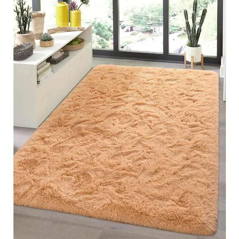 Indoor Soft Fluffy Bedroom Rug